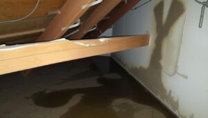 Winter moisture damage