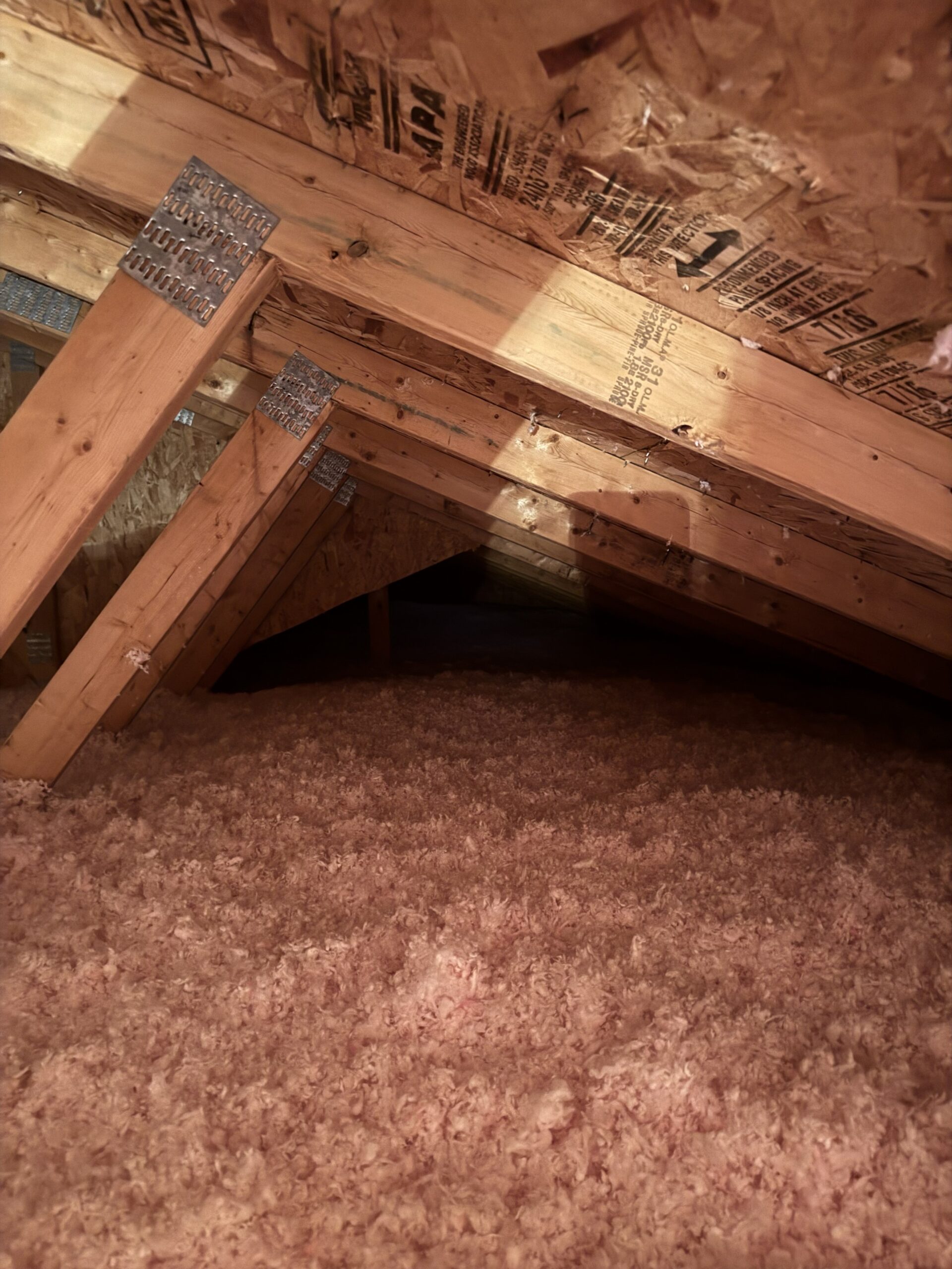 Winter Frost Damage, Attic Insulation, and the Benefits of Proper Air Sealing